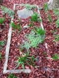 image of grave number 542181